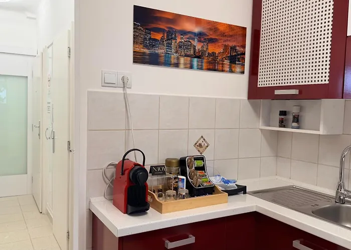 On Gellert Hill Downtown With Free Garage & Castle View Apartament *