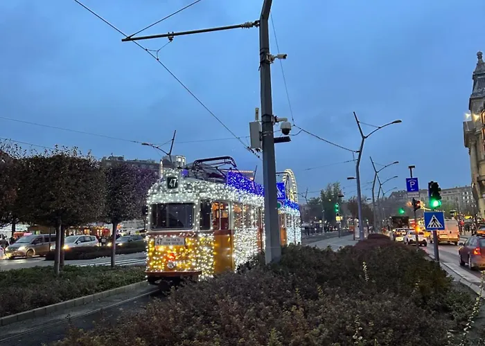 On Gellert Hill Downtown With Free Garage & Castle View