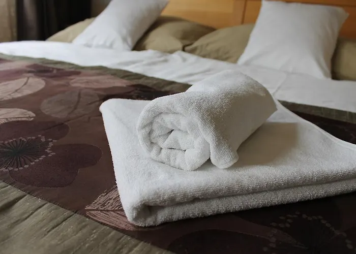 On Gellert Hill Downtown With Free Garage & Castle View *