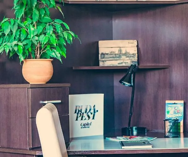 On Gellert Hill Downtown With Free Garage & Castle View *