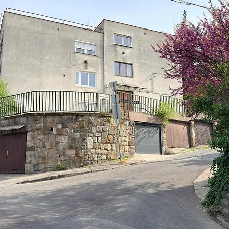 Lägenhet On Gellert Hill Downtown With Free Garage & Castle View